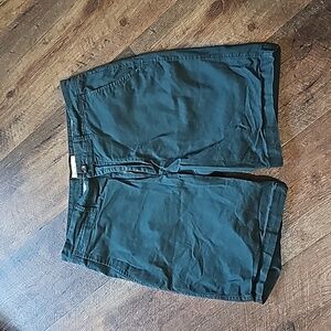 Goodfellow & Co. Men's 32 Waist Linden Shorts